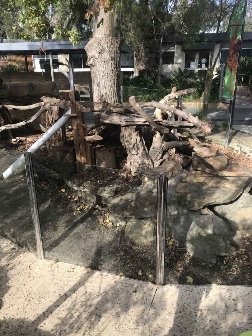 Growing Wild Meerkat Enclosure