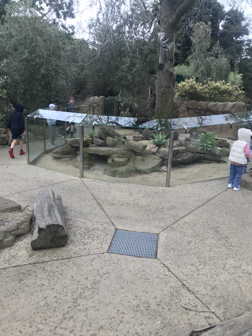 Growing Wild meerkat enclosure