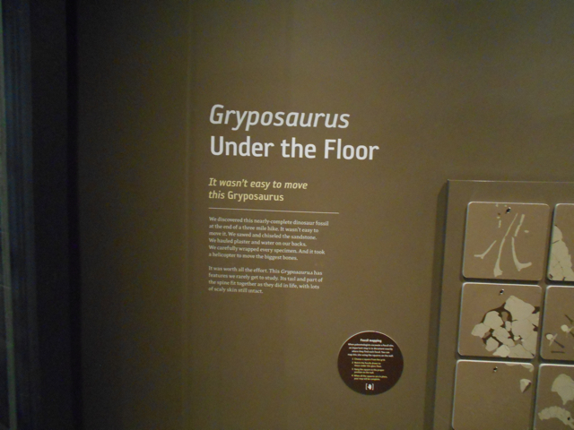 Gryposaurus interpretive sign