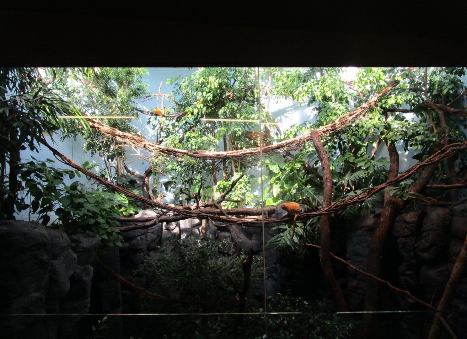 Grzimek House Central Exhibit