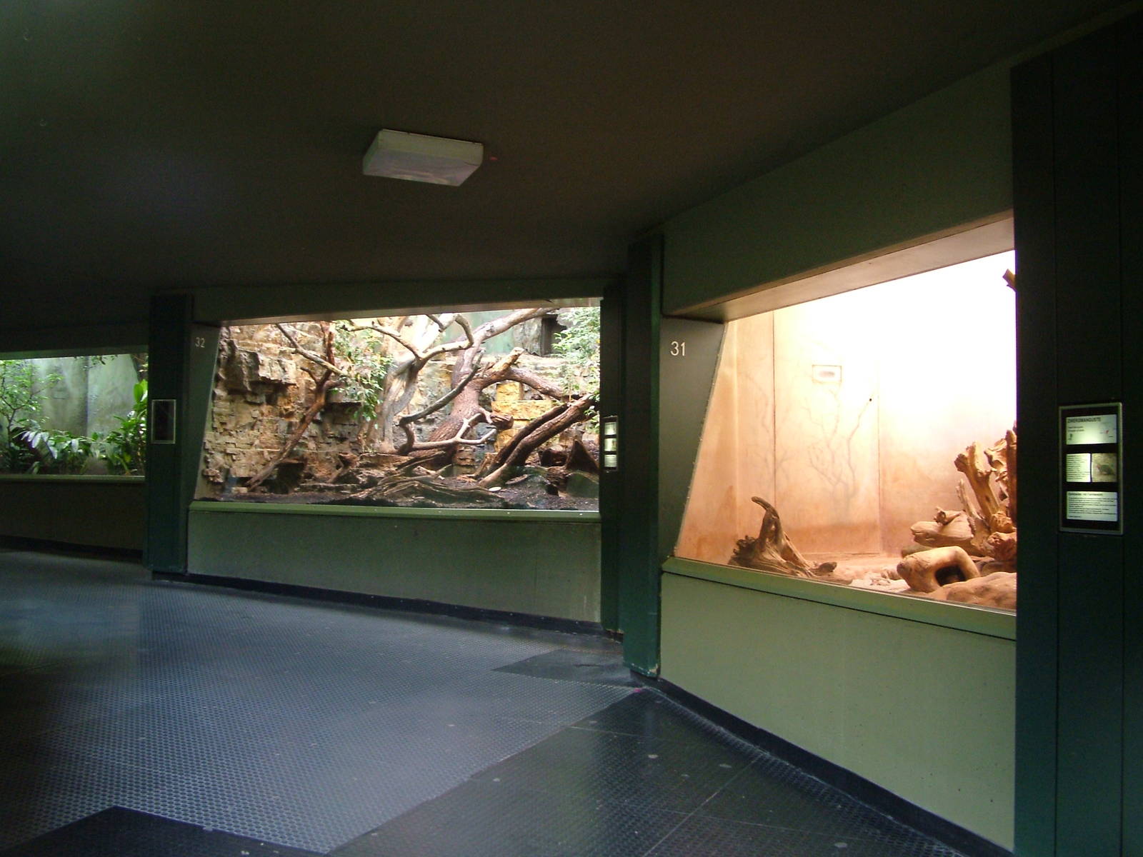 Grzimek House Interior at Frankfurt 31/08/10