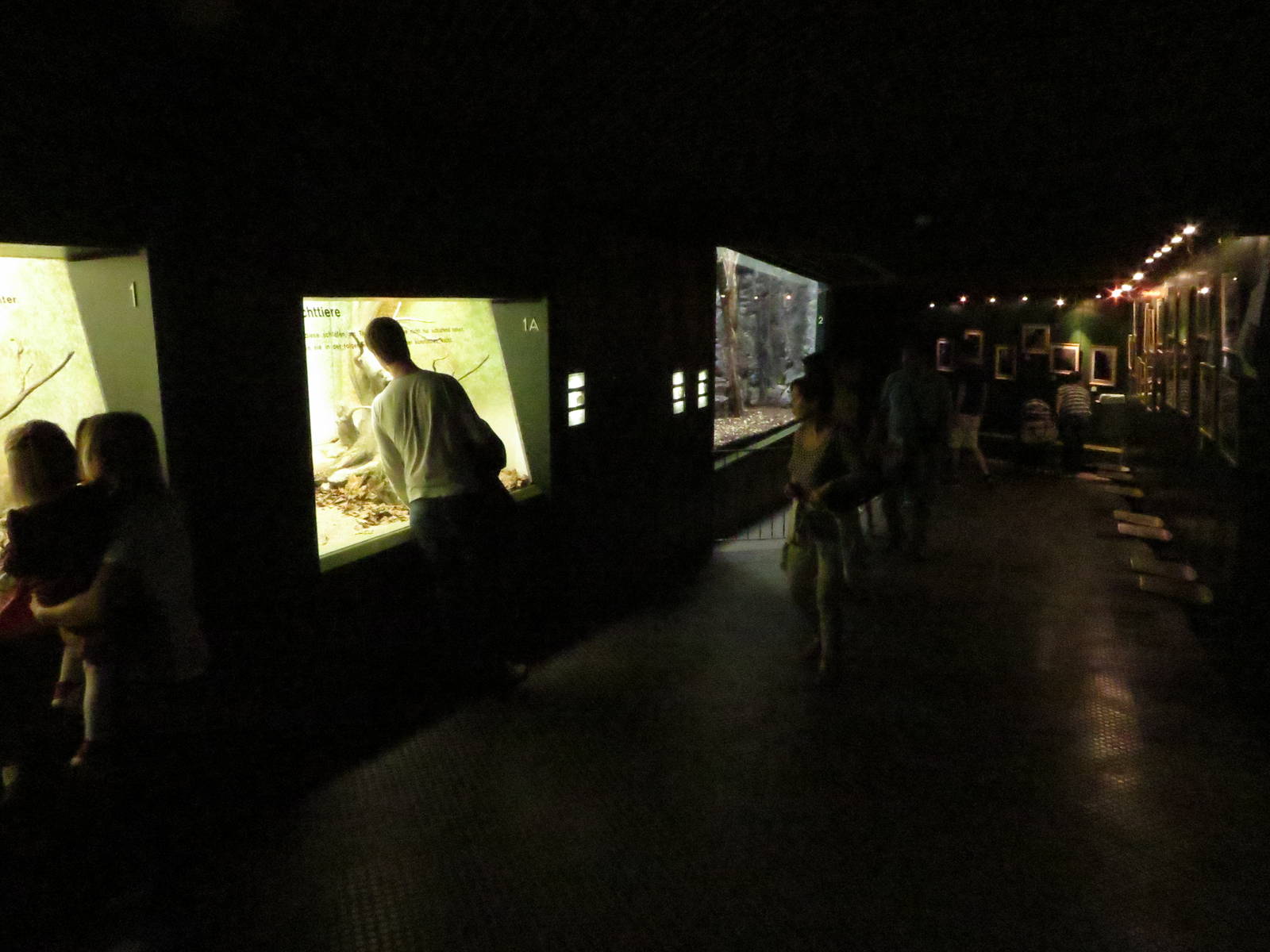 Grzimek house - interior