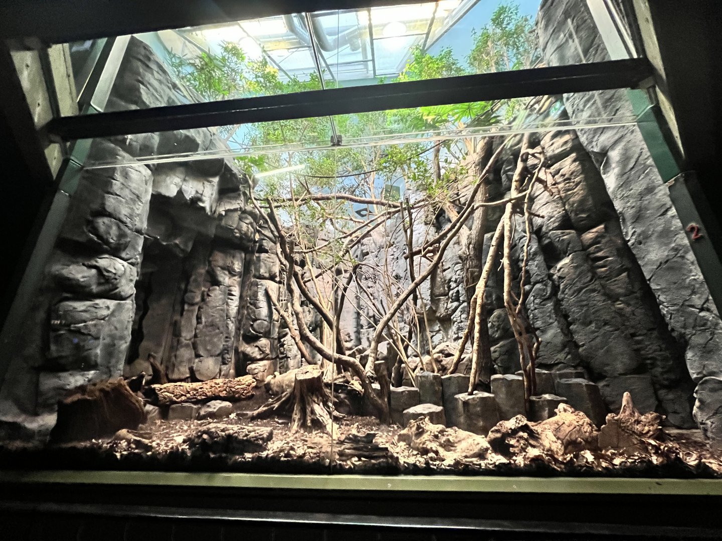 Grzimek House- South America Day Exhibit