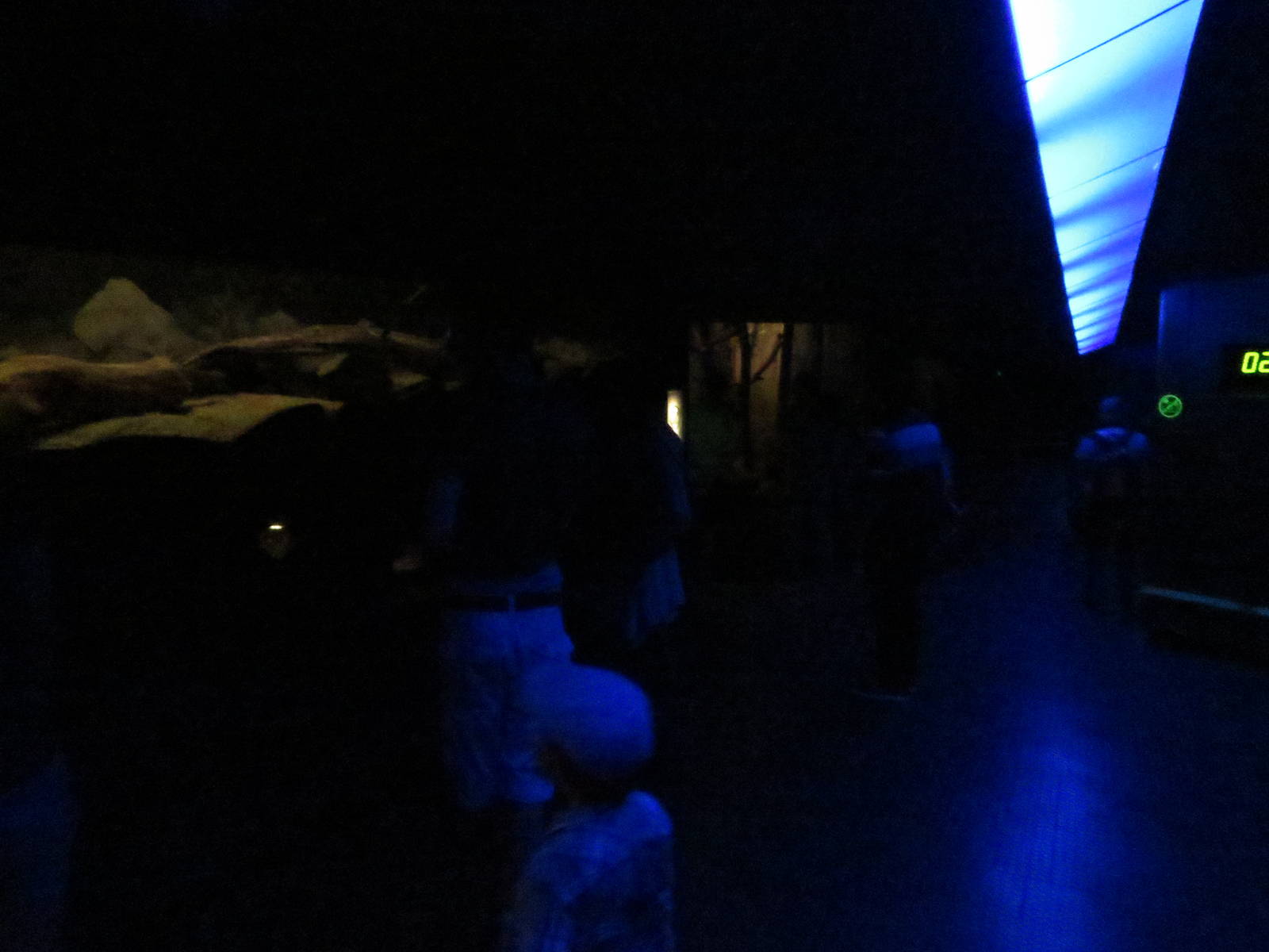 Grzimek house - visitor path