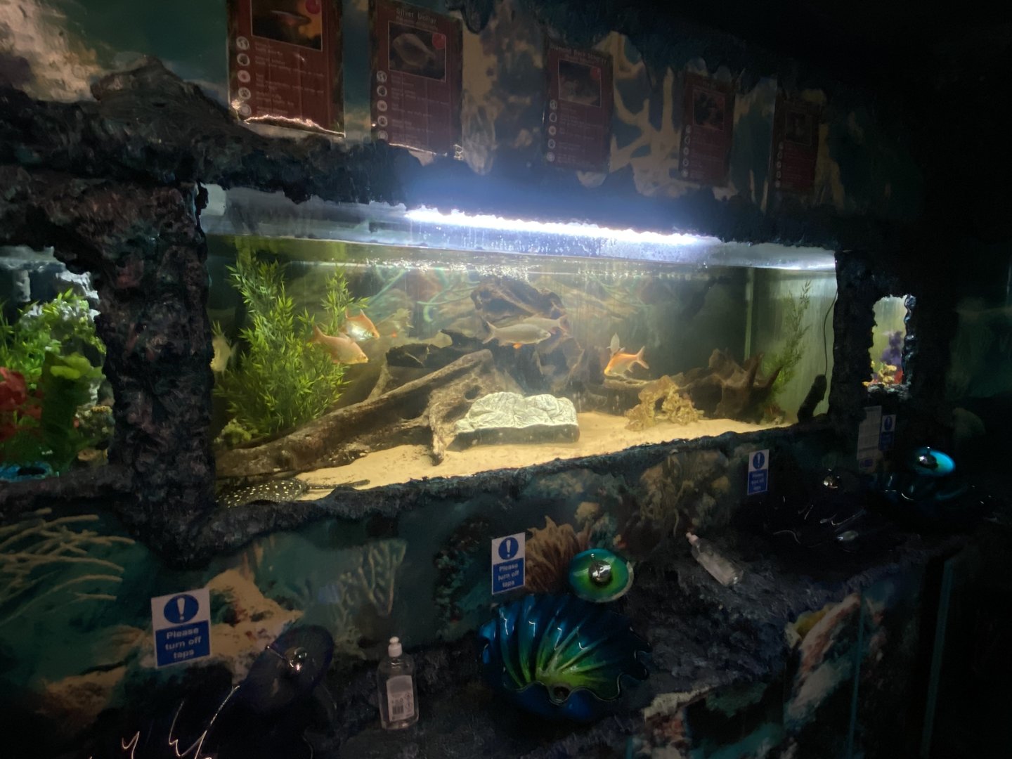 GTKA - Aquatic exhibit 190323