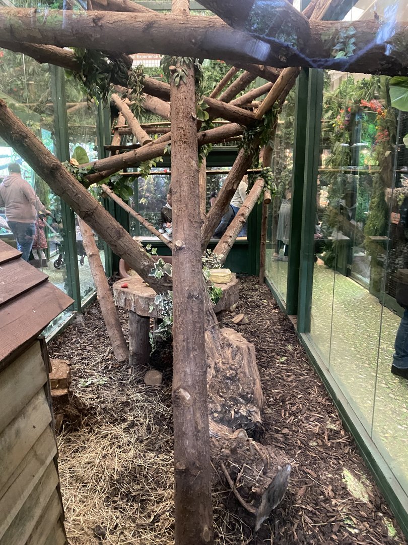 GTKA - Binturong enclosure 190323
