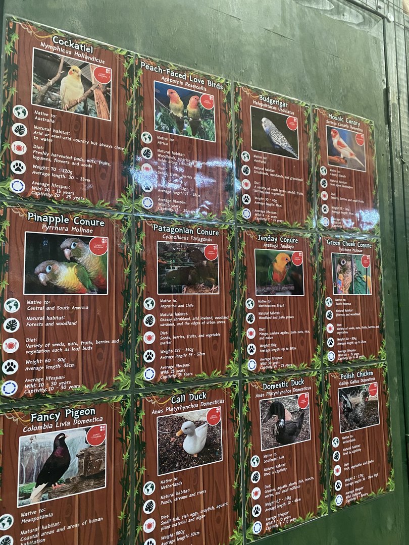 GTKA - Parrot aviary signage 190323