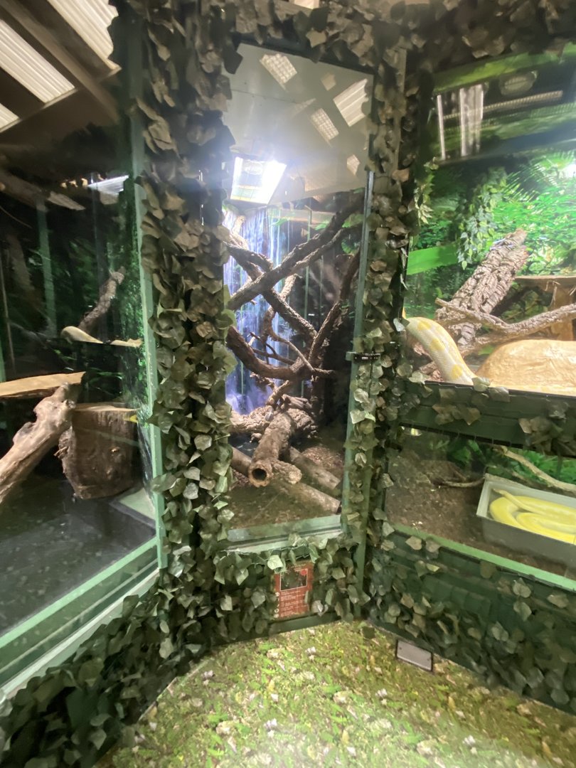 GTKA - Reptile exhibits 190323