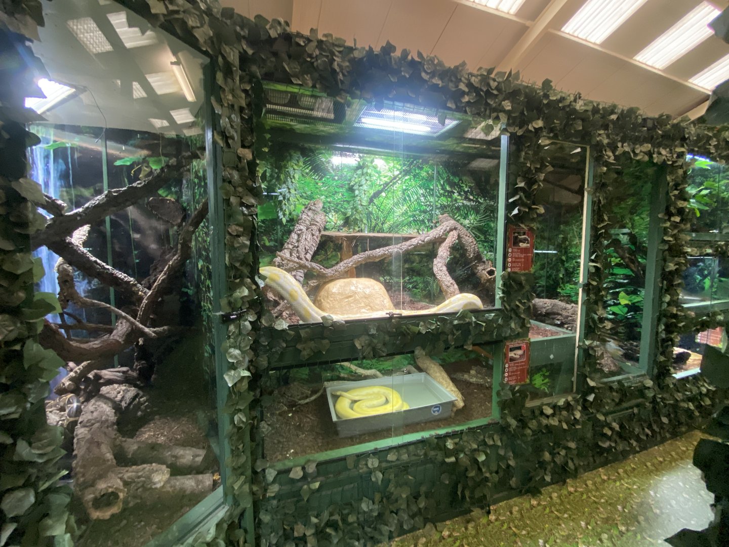 GTKA - Reptile exhibits 190323