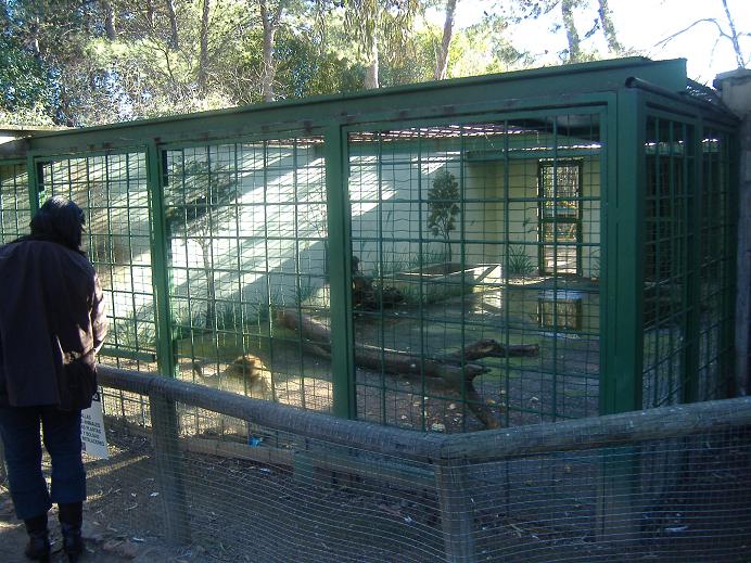 Guadalajara old bear cage