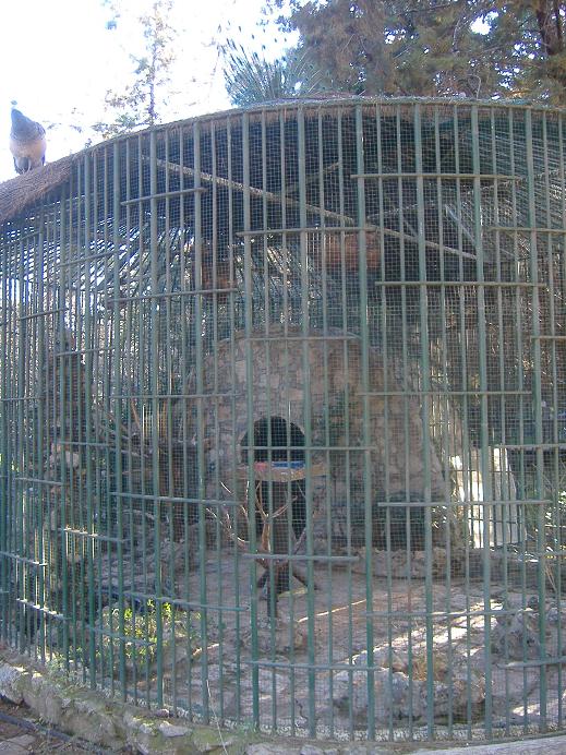 Guadalajara old puma cage