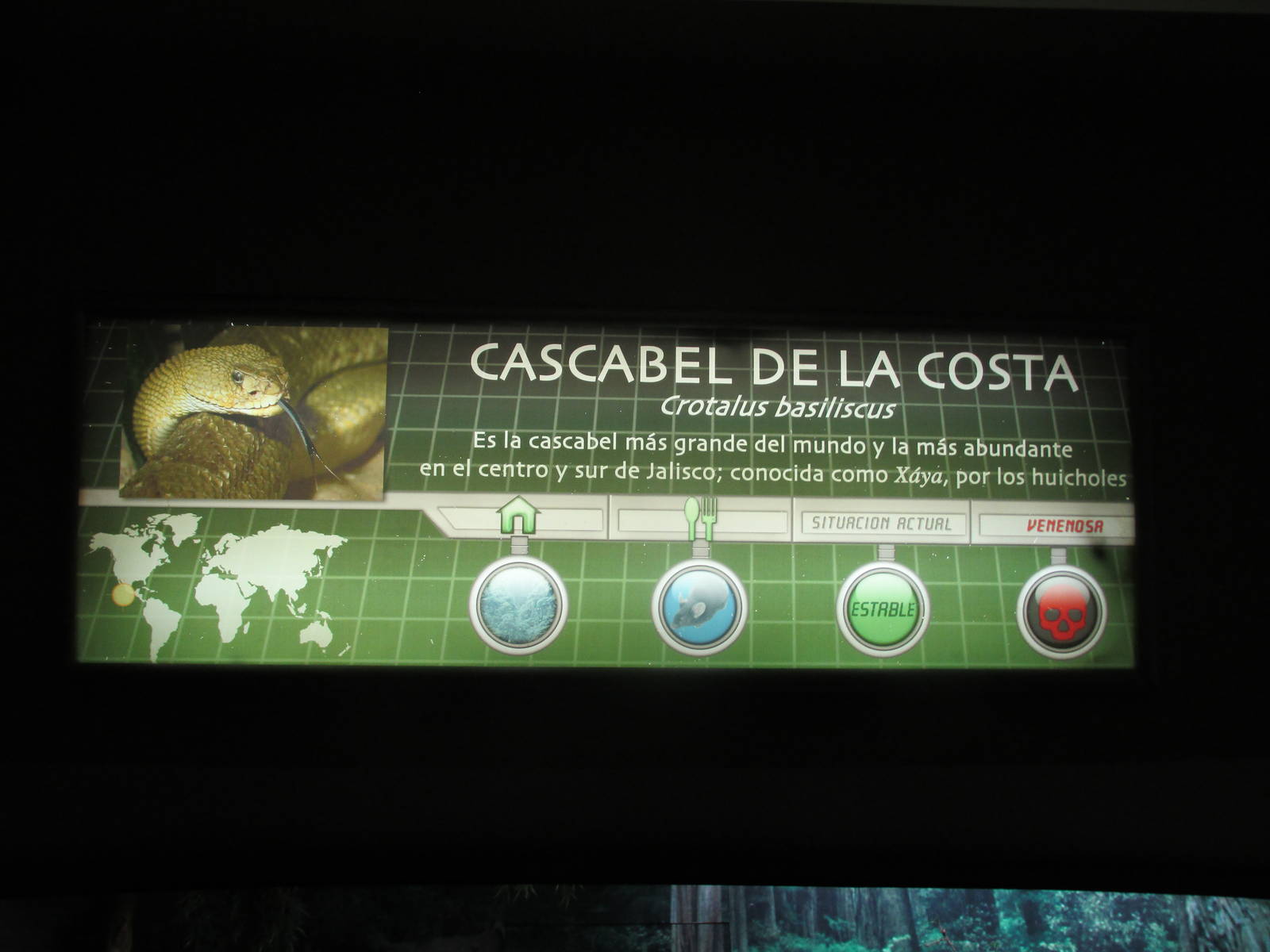 guadalajara zoo sign