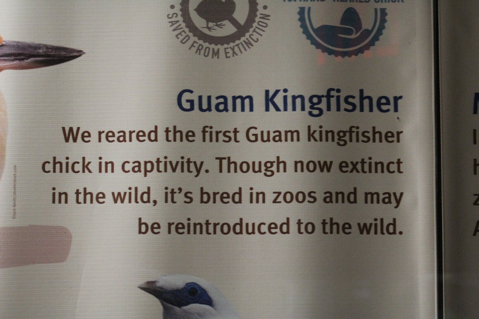 Guam Kingfisher Achievements