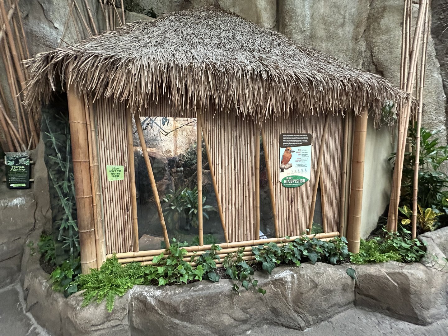 Guam Kingfisher Exhibit - Tropical Forests