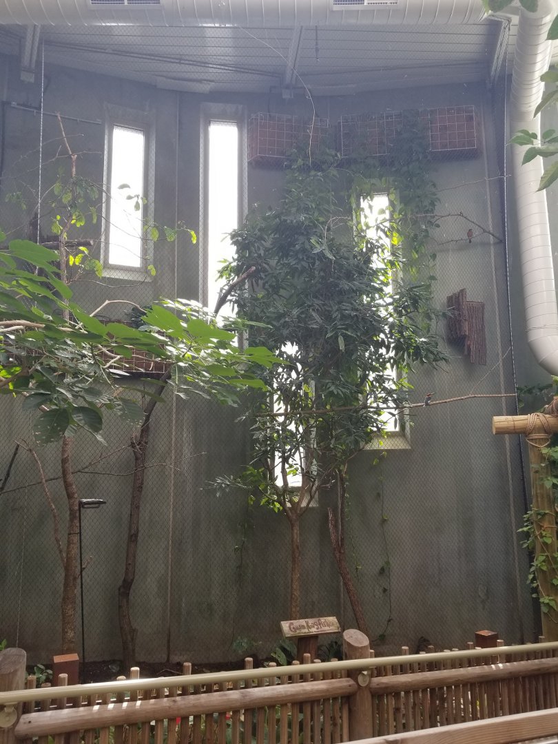 Guam Kingfisher Exhibit