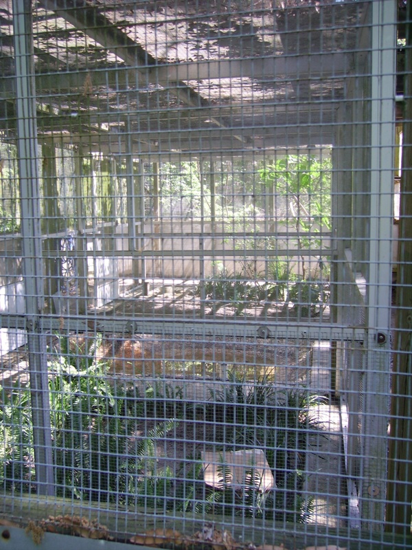 Guam Rail enclosures