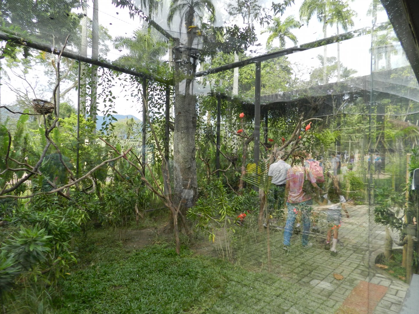 Guanabara Bay exhibit - BioParque do Rio