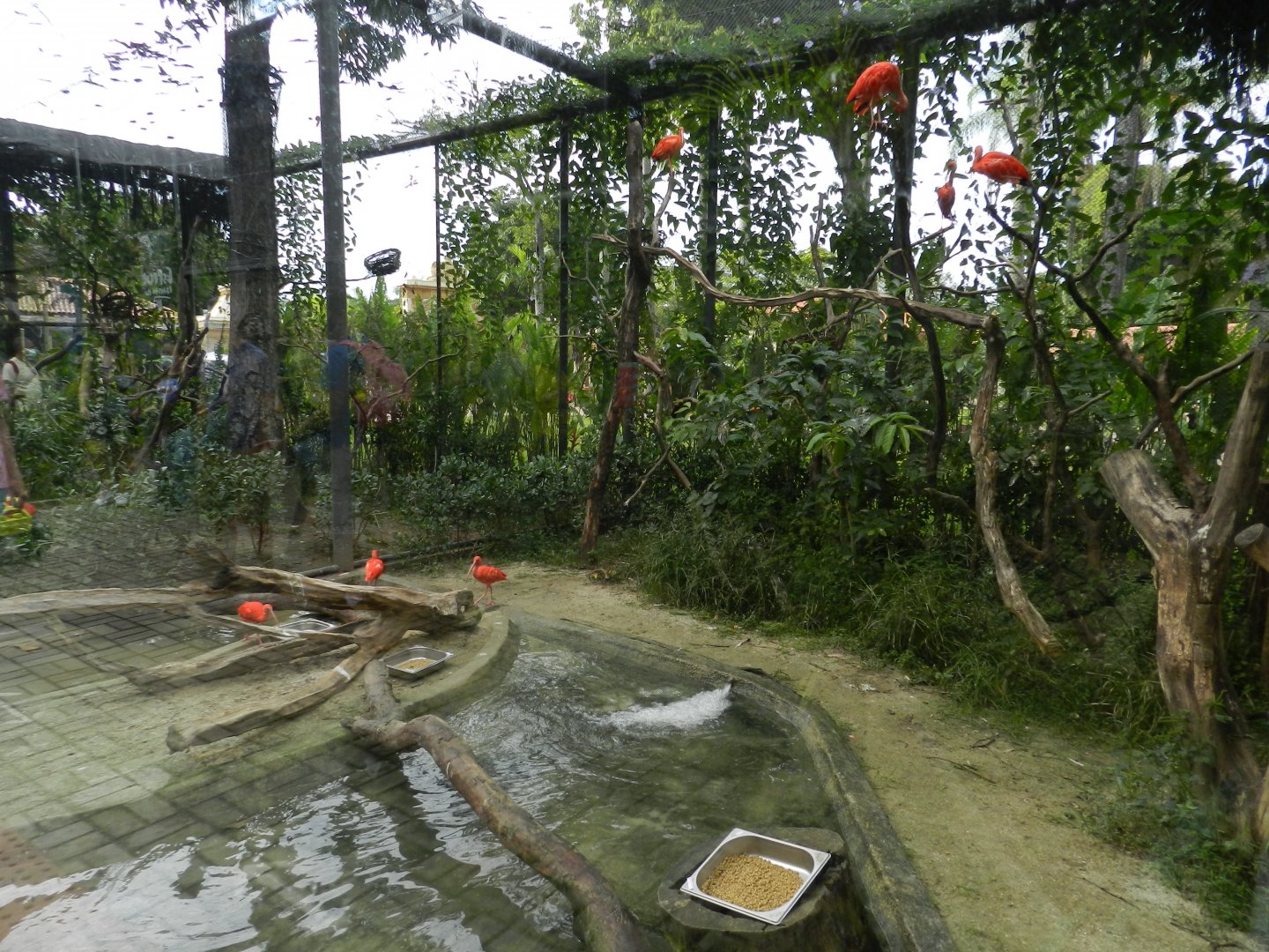 Guanabara Bay exhibit - BioParque do Rio