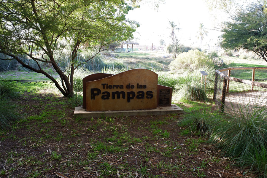 guanaco and rhea exhibit
