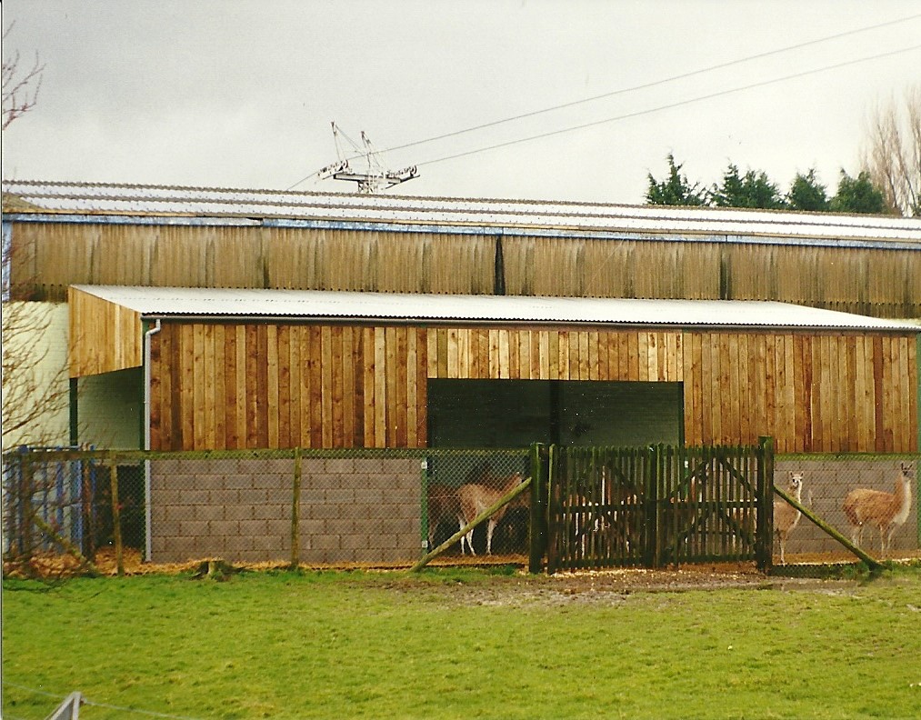 Guanaco area at rear of Sealion Centre 6th March 1999