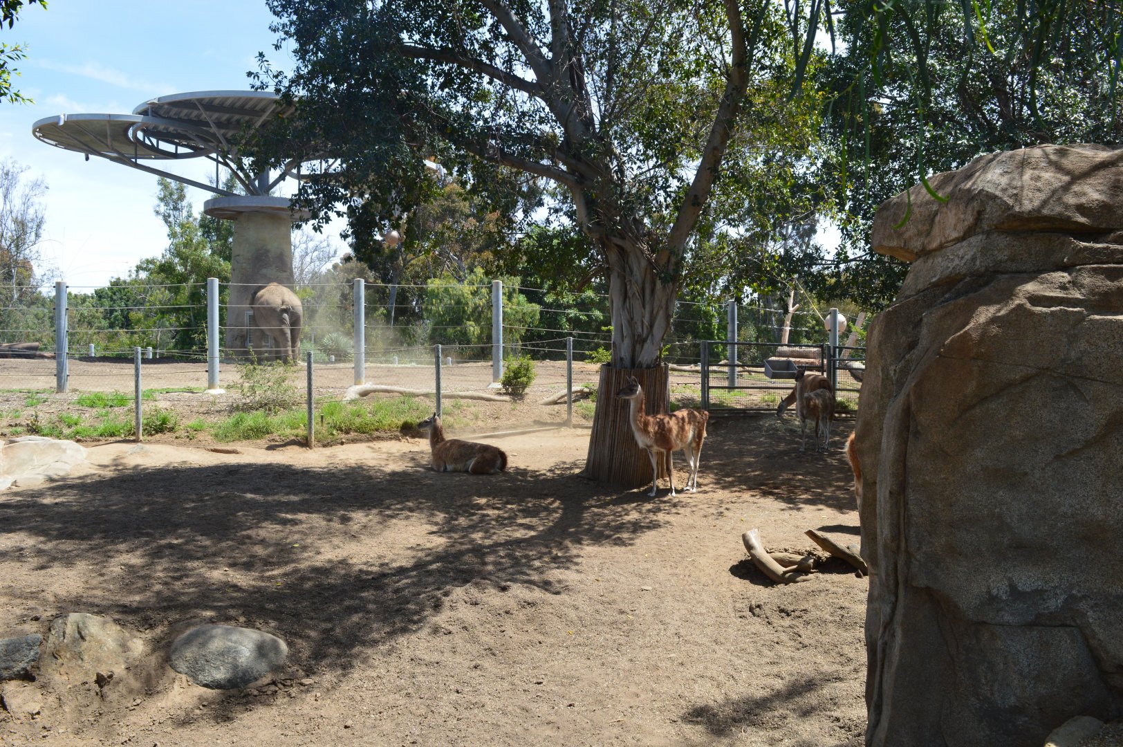 Guanaco/Elephant Exhibits