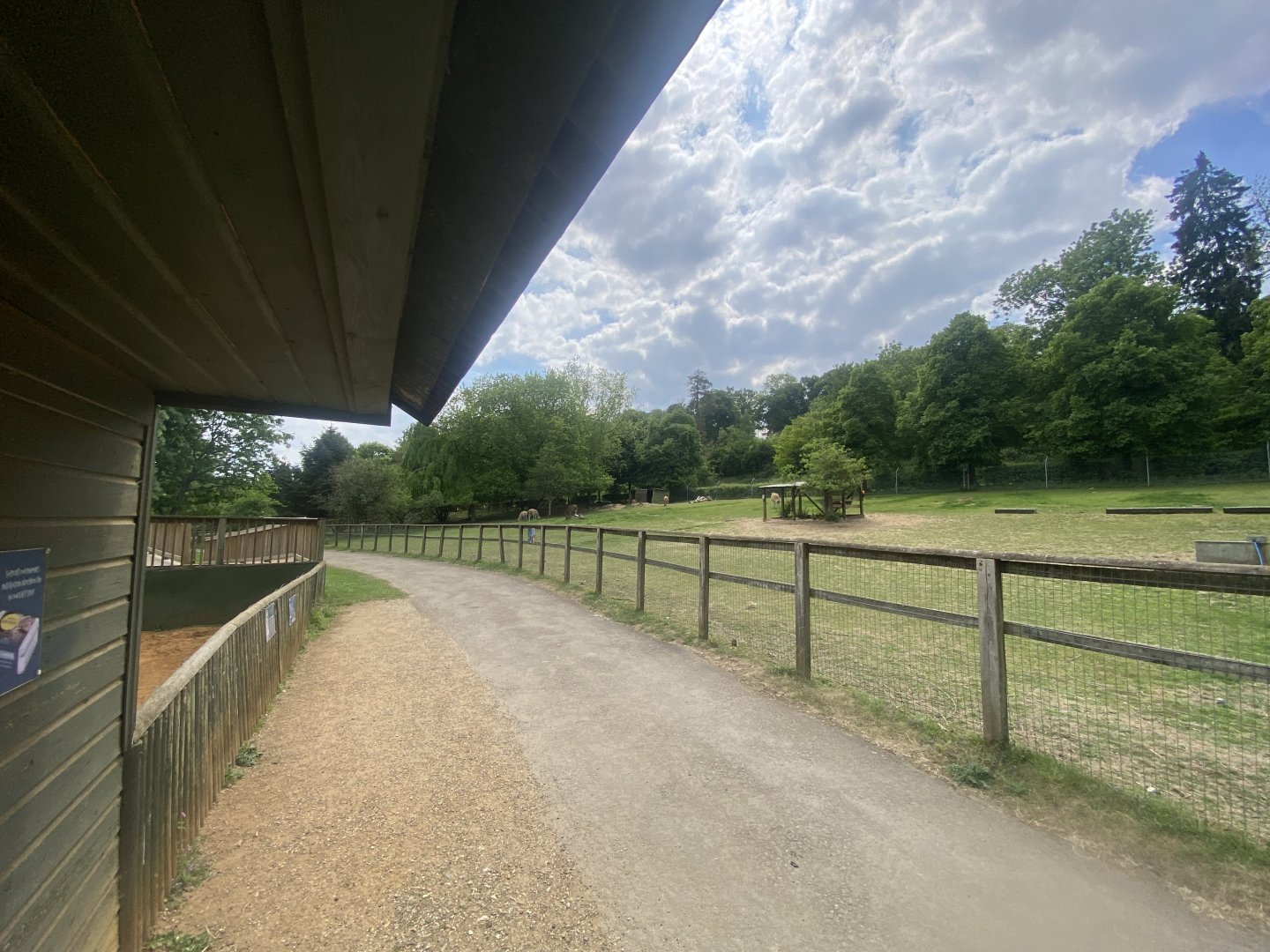 Guanaco enclosure 090525