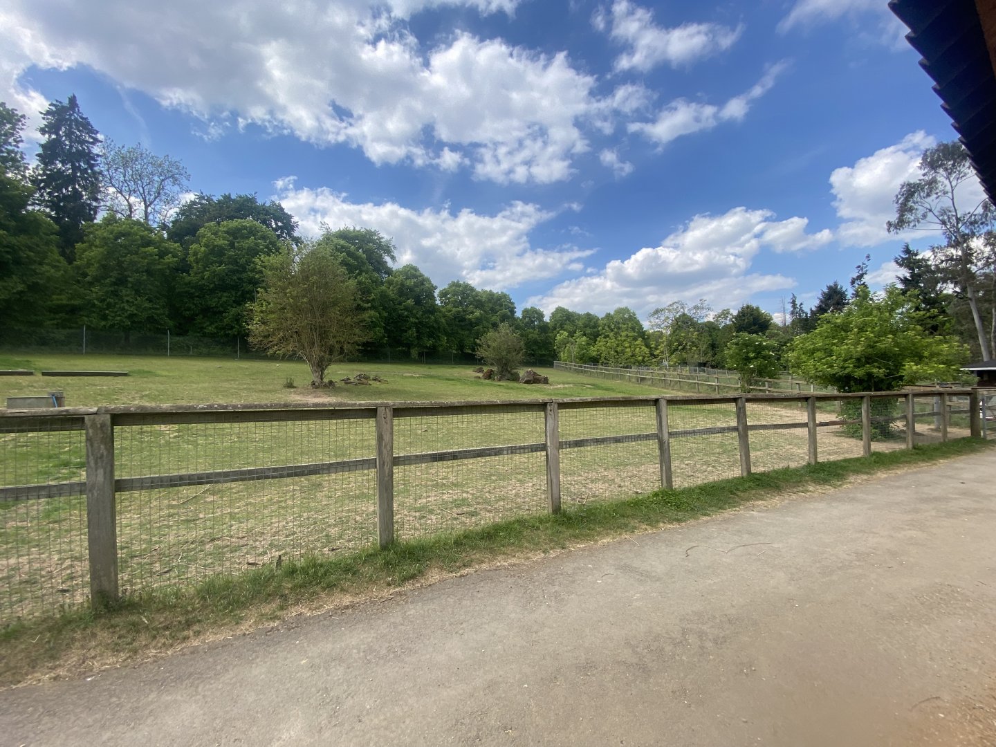 Guanaco enclosure 090525