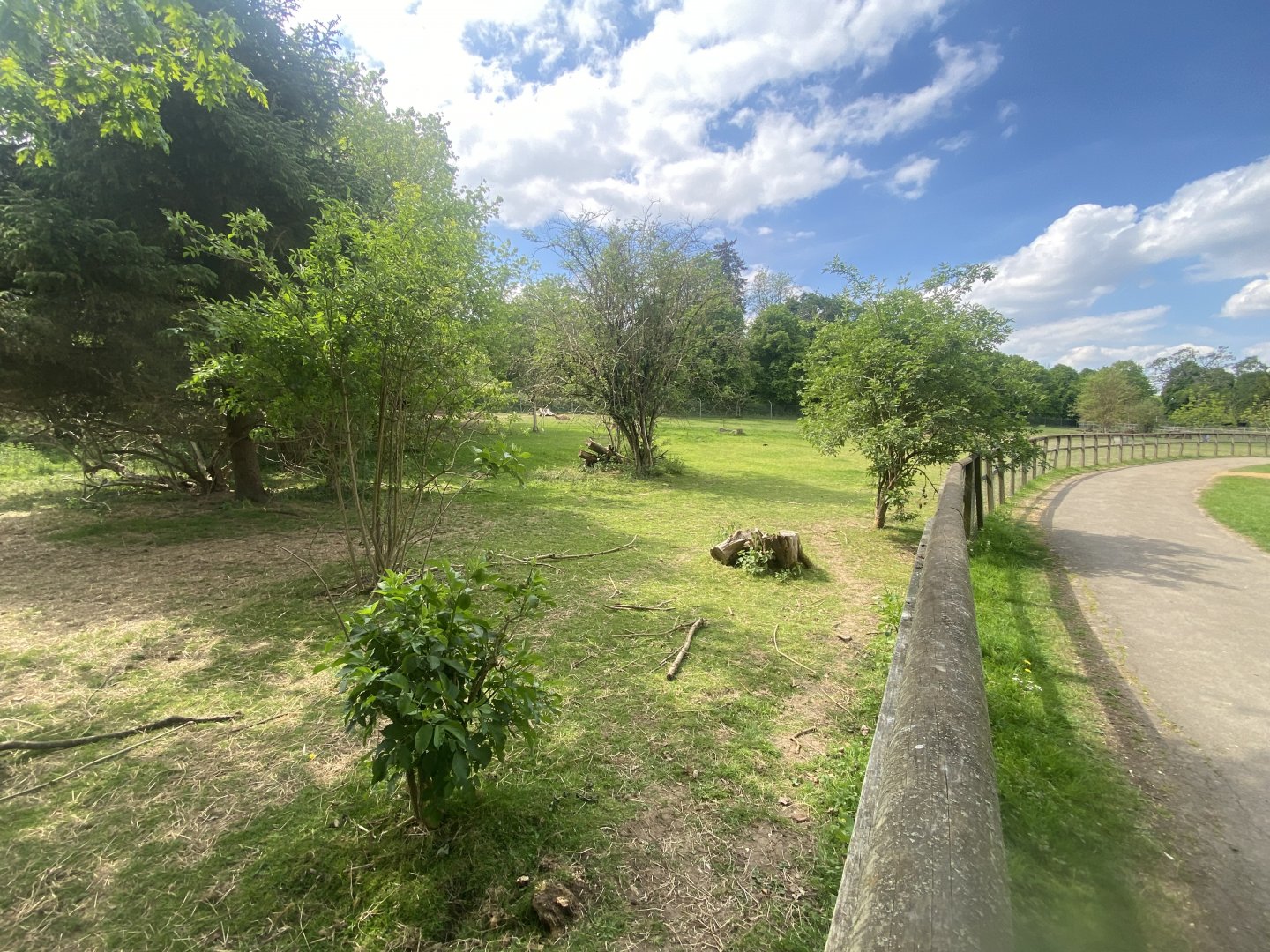 Guanaco enclosure 090525