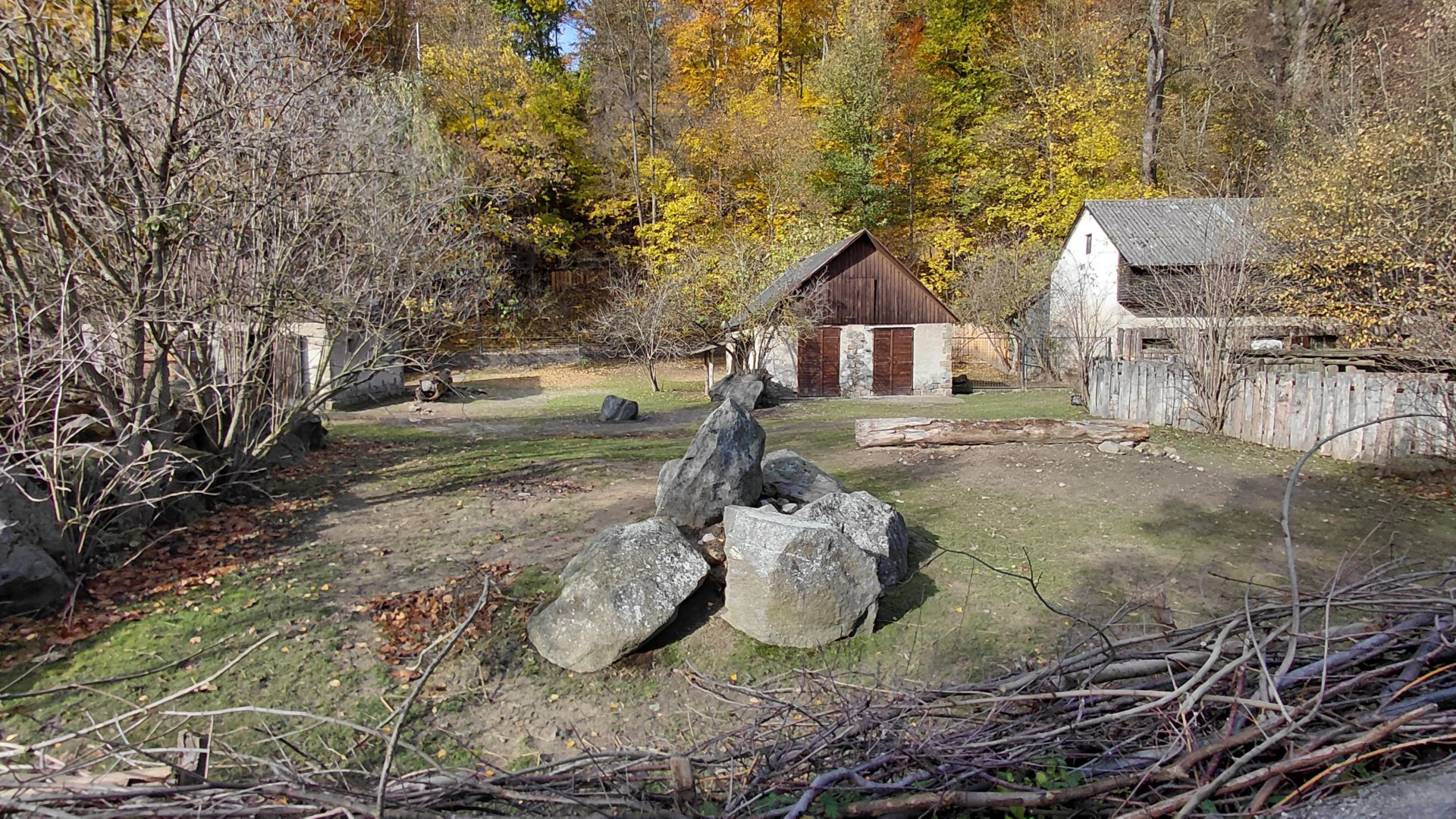 Guanaco + greater rhea exhibit