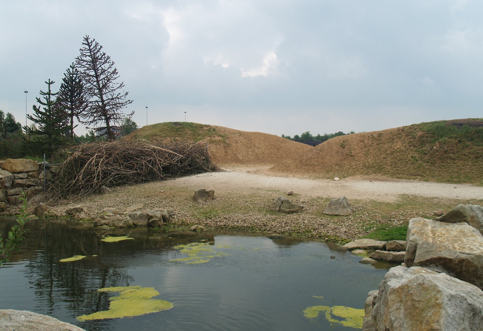 Guanaco paddock, 2006-07-08