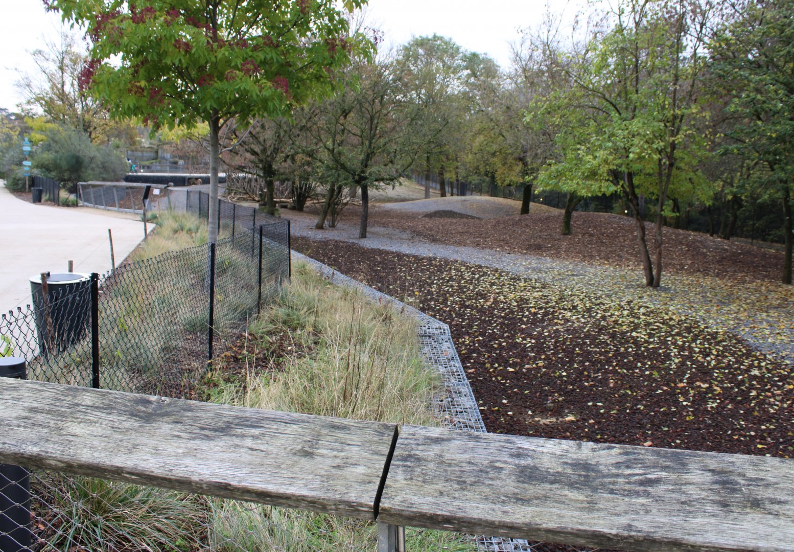 Guanaco - Patagonian mara and Darwin rhea enclosure