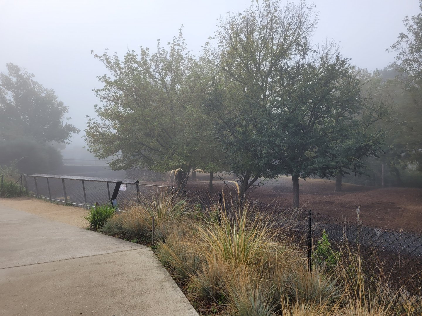 Guanaco, Patagonian mara and Darwin's rhea exhibit -Parc Zoologique de Paris (2022)
