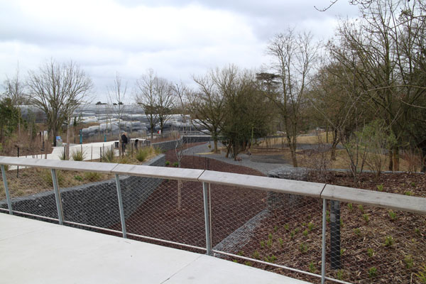 guanaco rhea mara exhibit