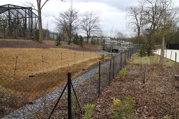 guanaco rhea mara exhibit