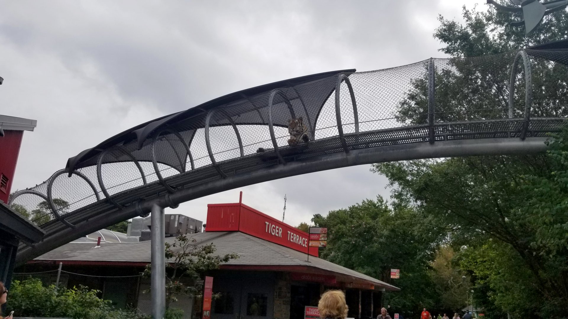 Guardian of Tiger Terrace