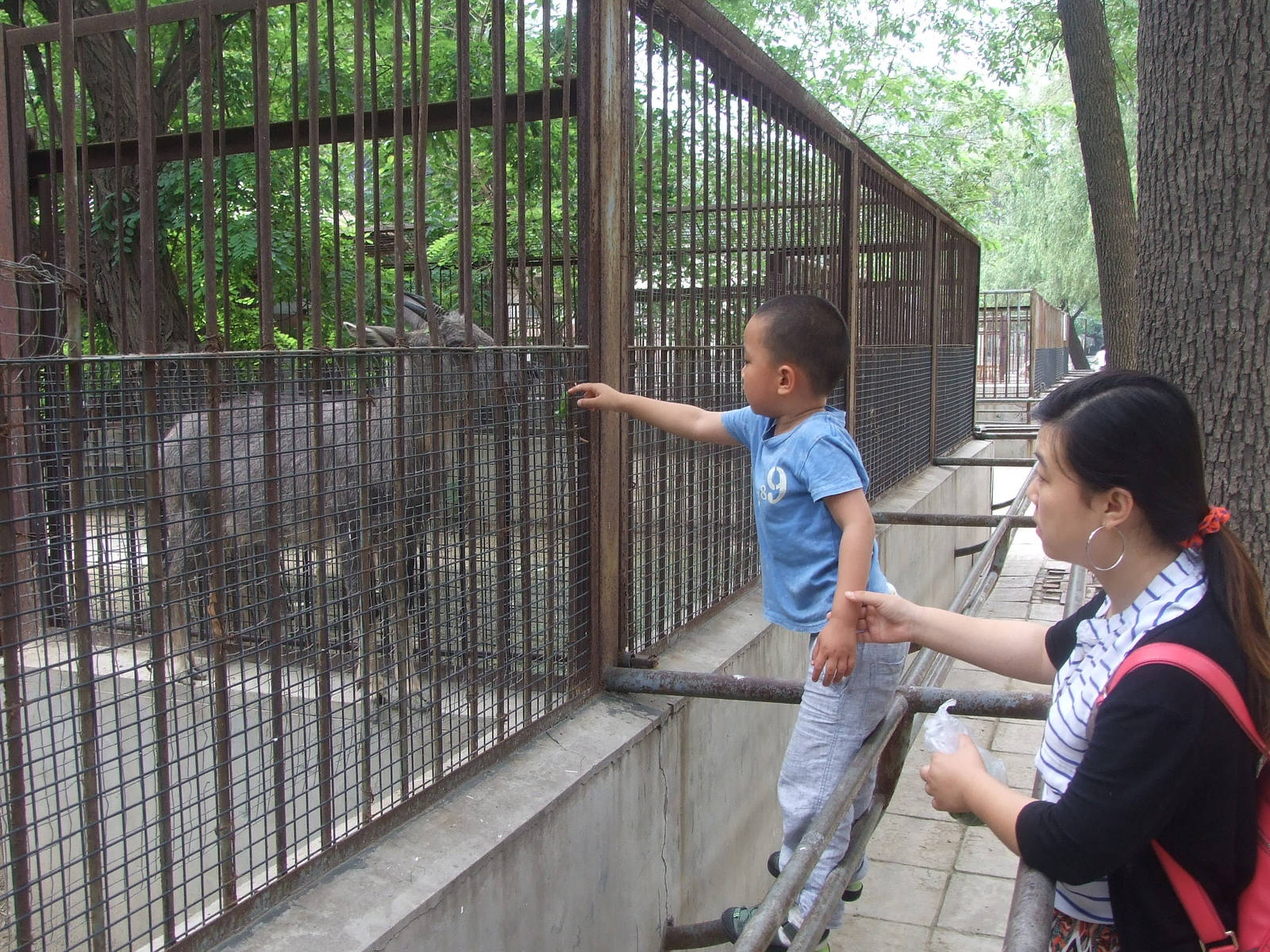 Guardrail? Wire mesh? No problem!