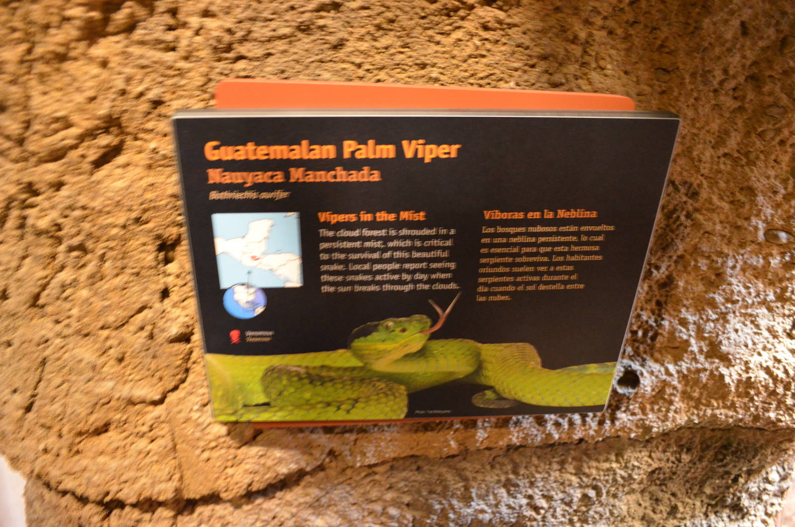 GUATEMALAN PALM VIPER SIGNAGE