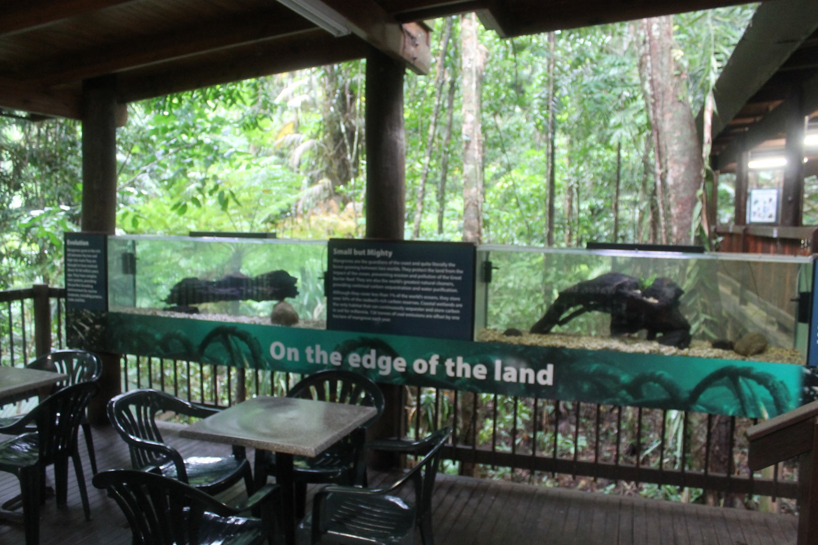 Gudgeon and empty tank