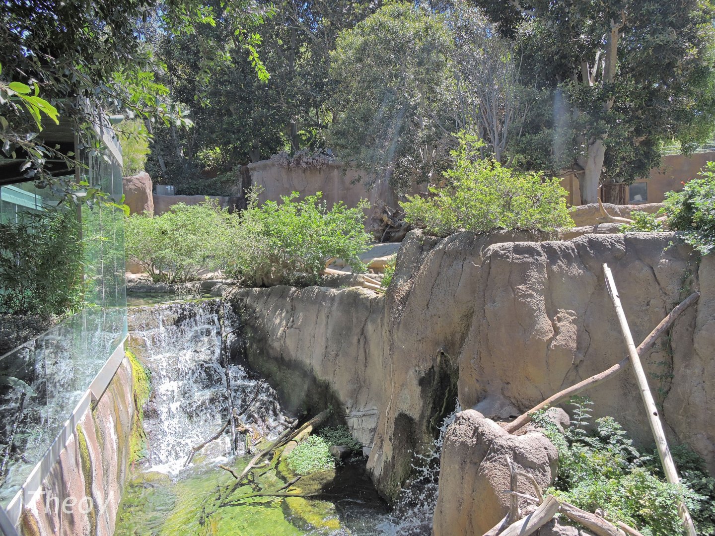 Guenon and otter exhibit - Lost Forest [2015]