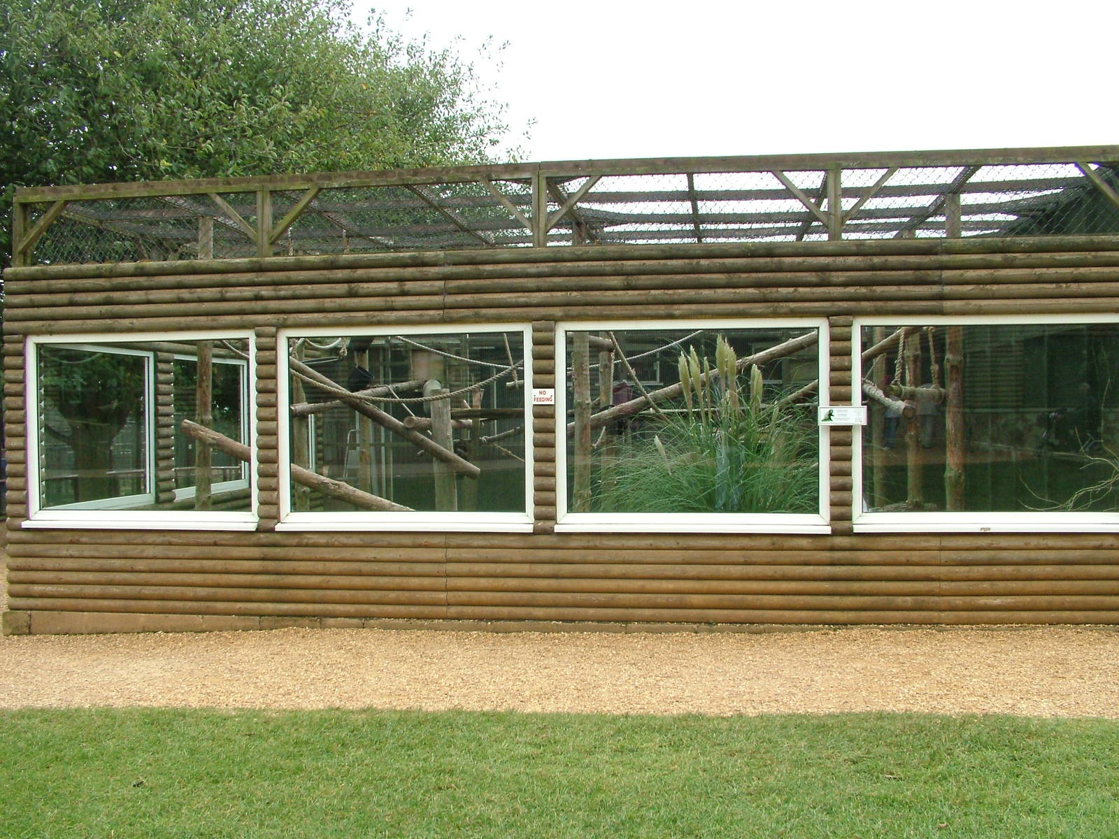 Guenon enclosure at Twycross 13/09/09