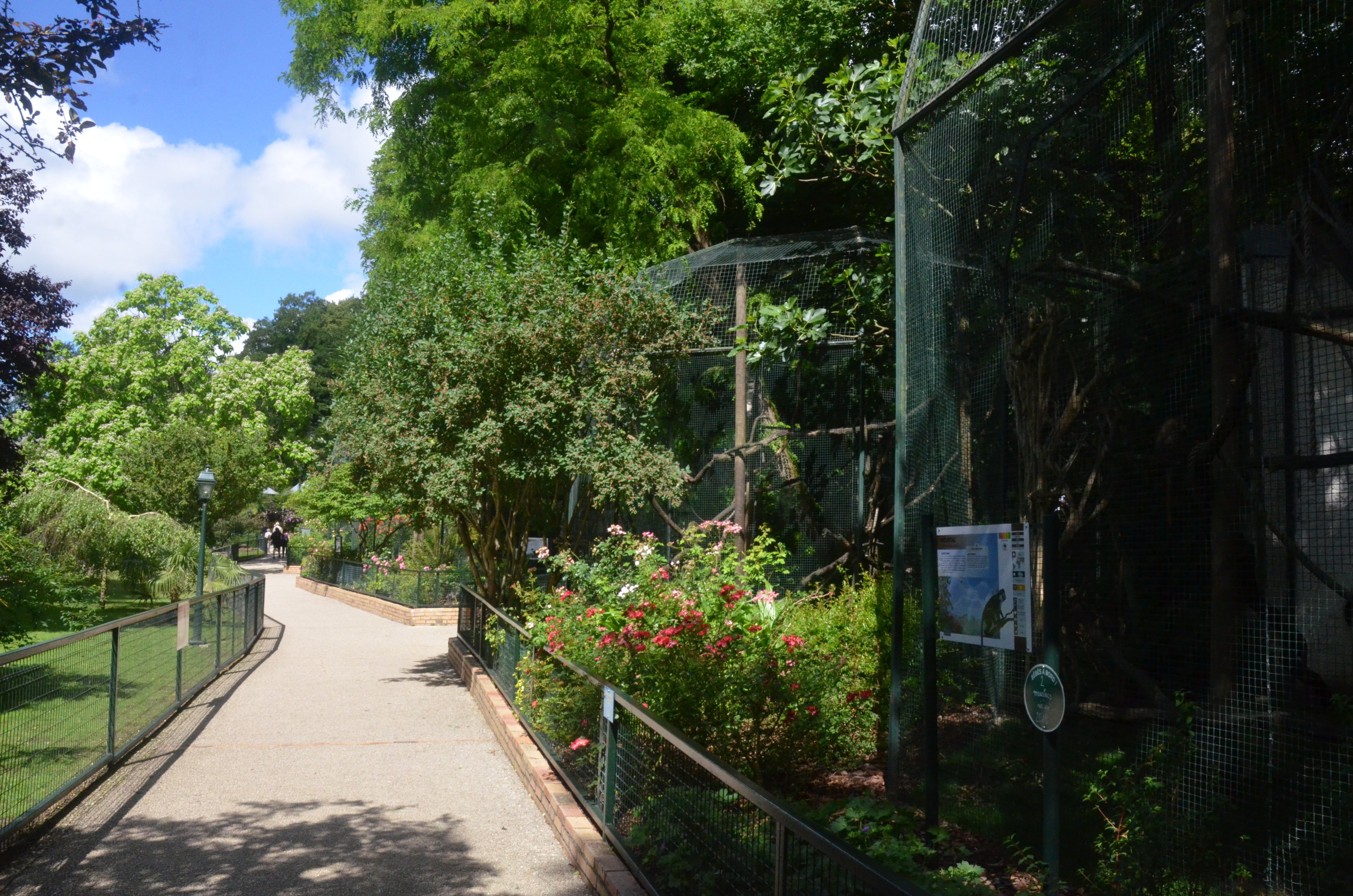 Guenon Enclosures at Beauval, 12/06/18