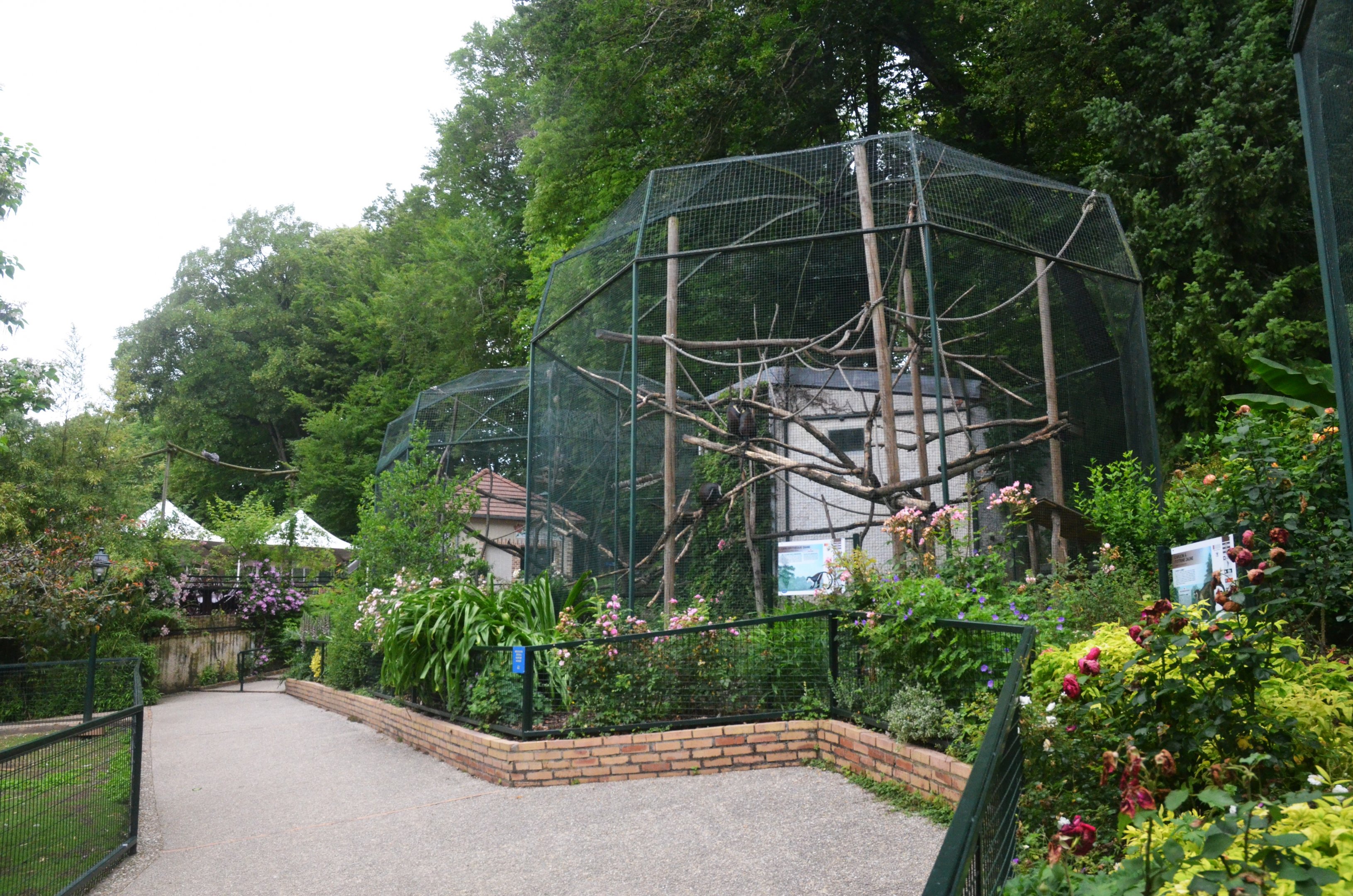 Guenon Enclosures at Beauval, 12/06/18