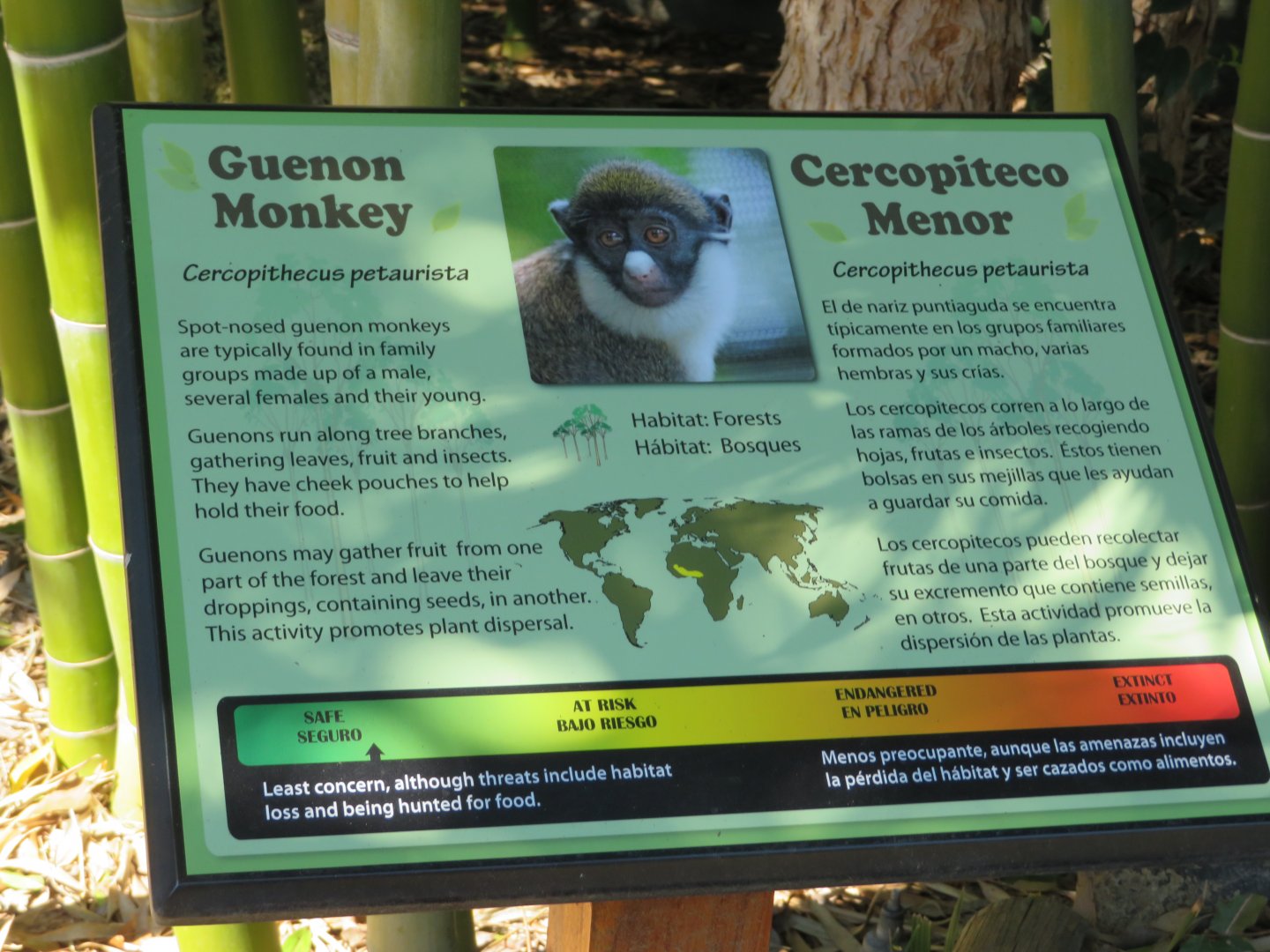 Guenon Signage