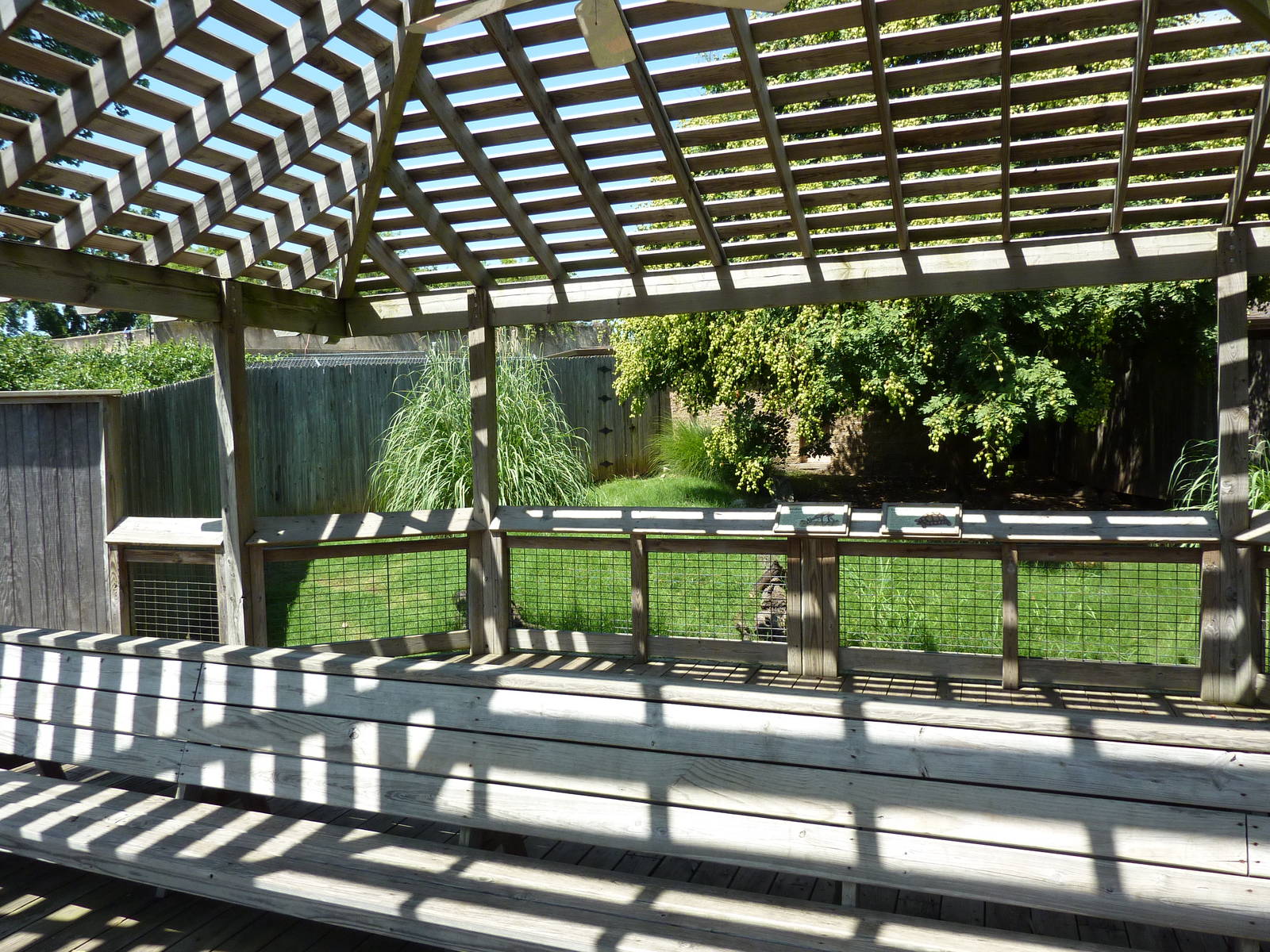 Guenther's Dik-Dik/Leopard Tortoise Exhibit - Viewing Area