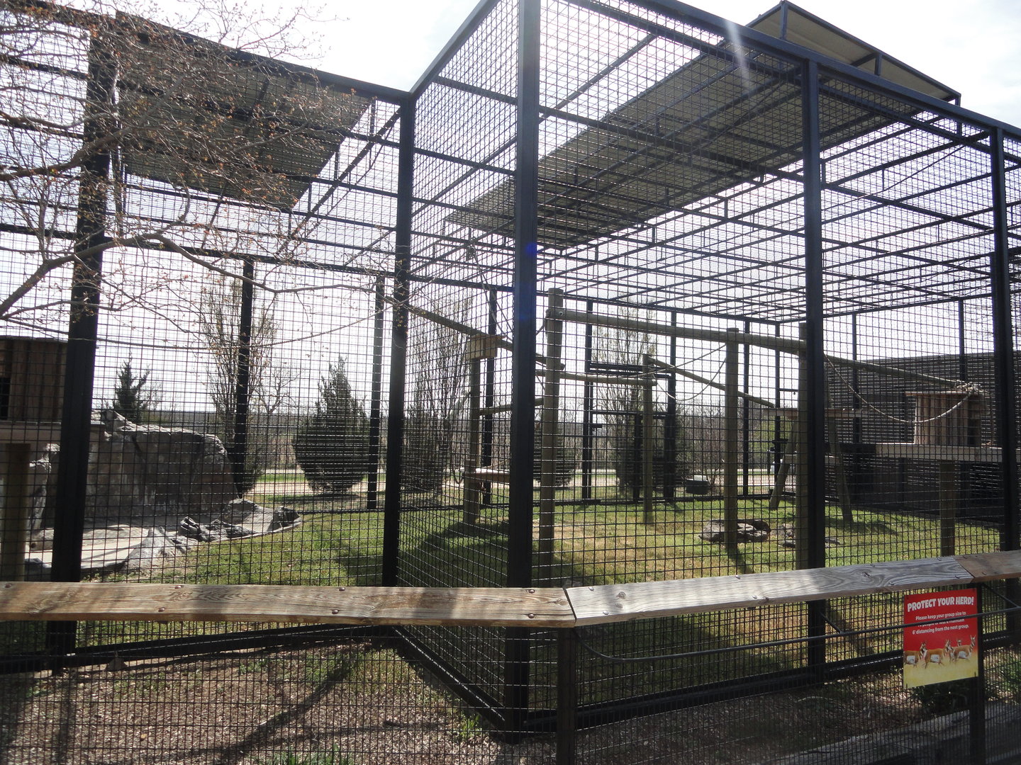 Guereza Colobus Exhibit