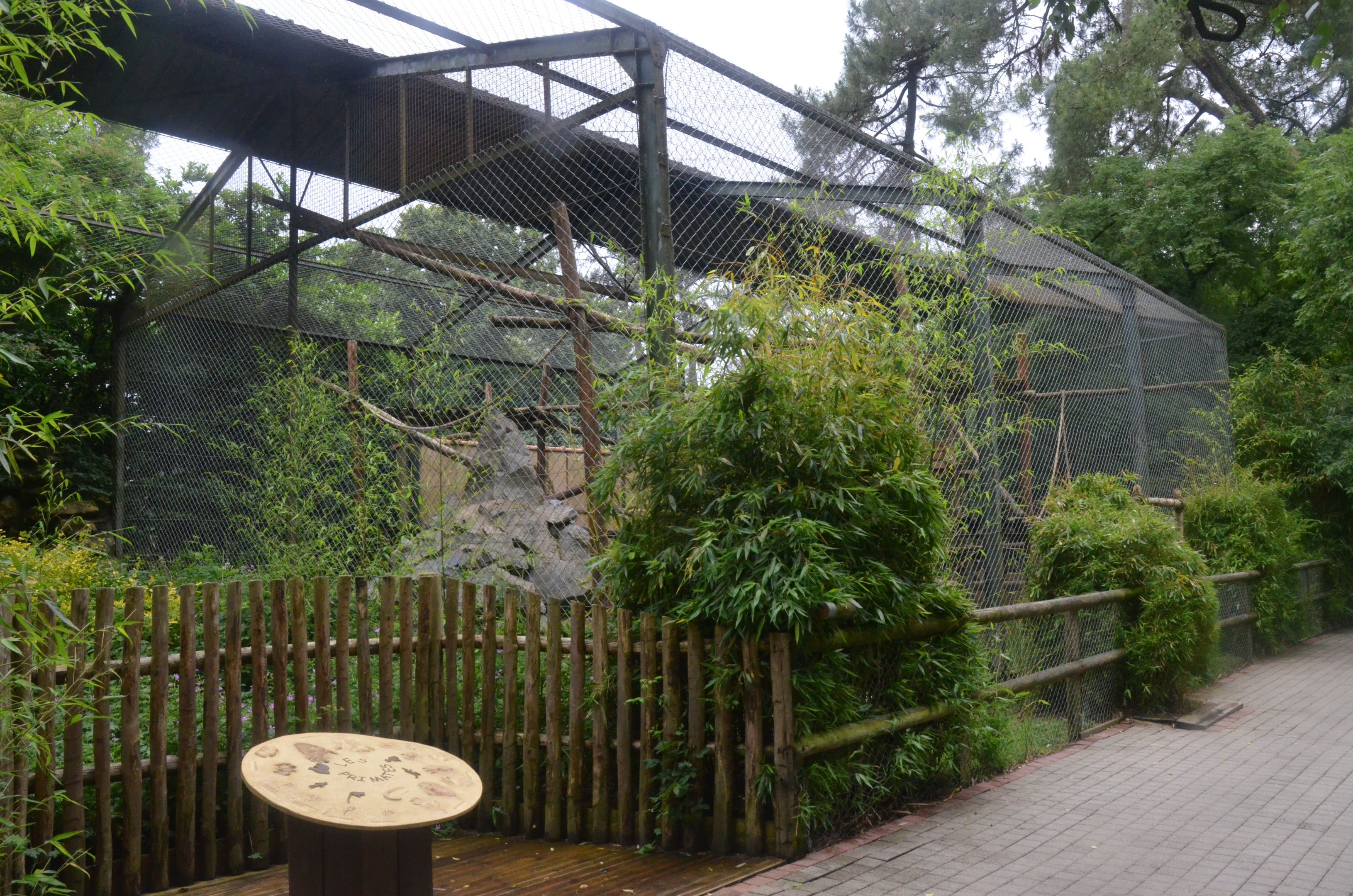 Guereza Enclosure at La Flèche, 11/06/18