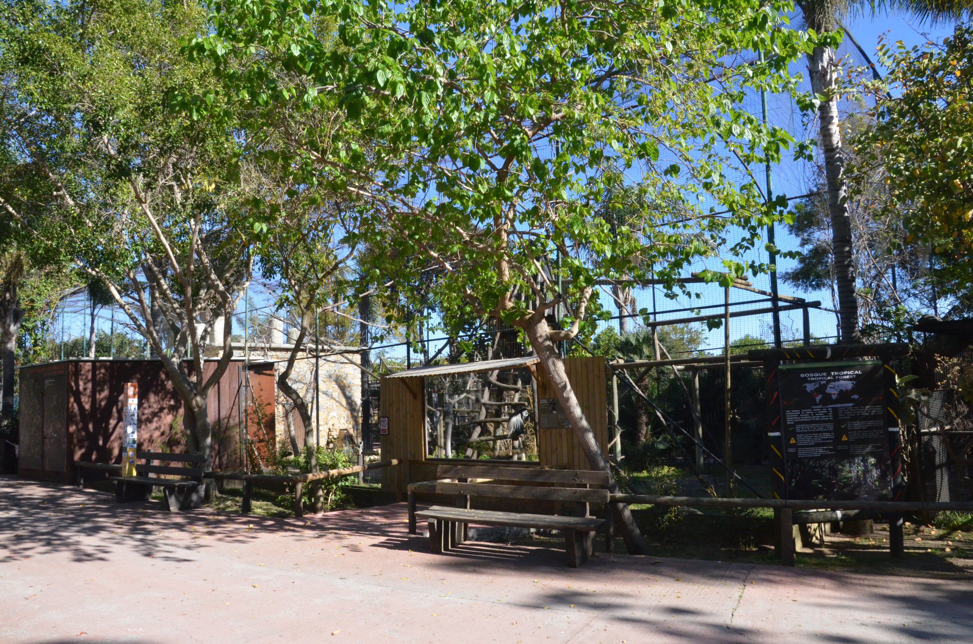 Guereza Enclosure at Selwo Aventura, 13/03/19