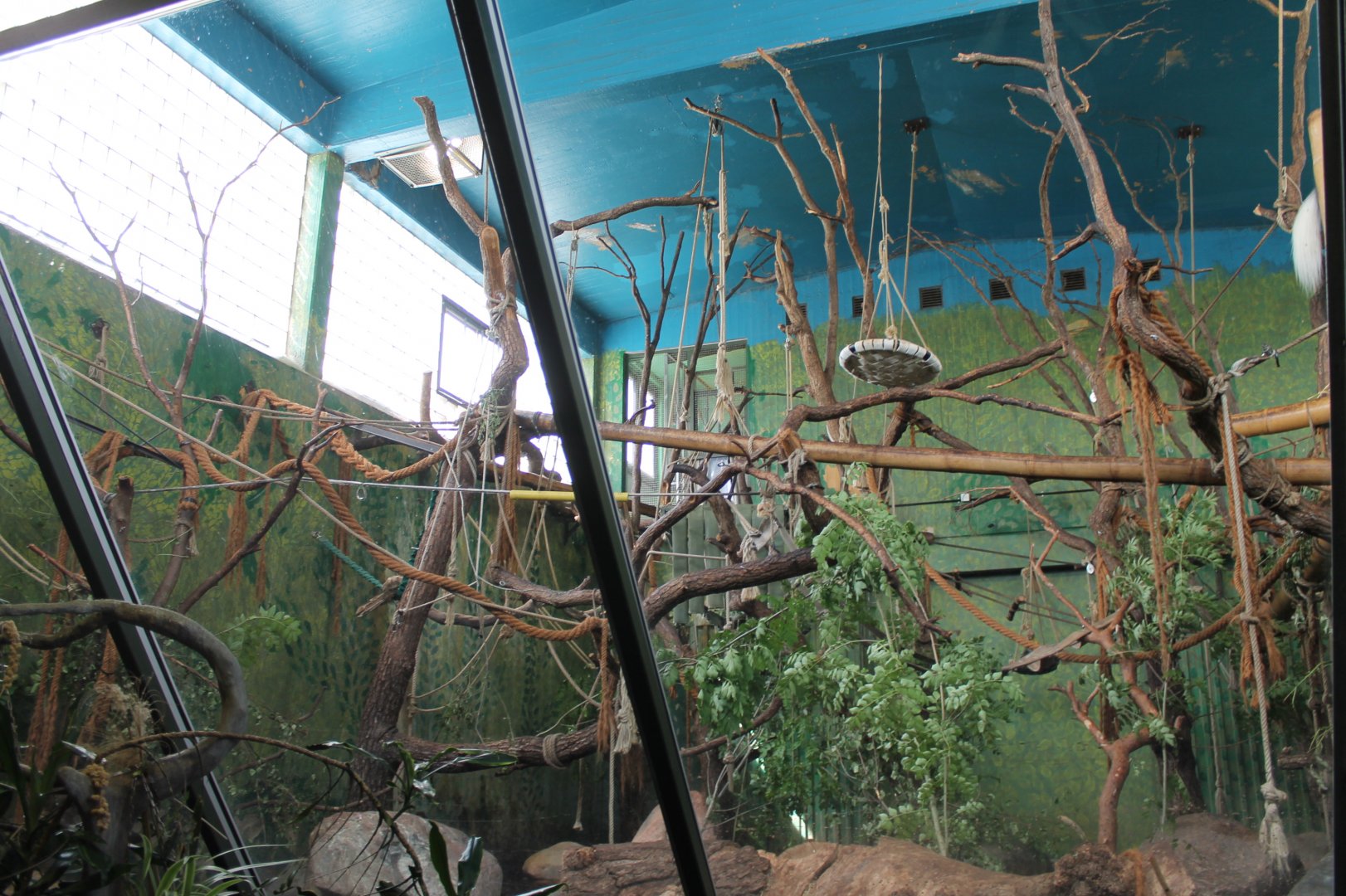 Guereza Indoor Enclosure