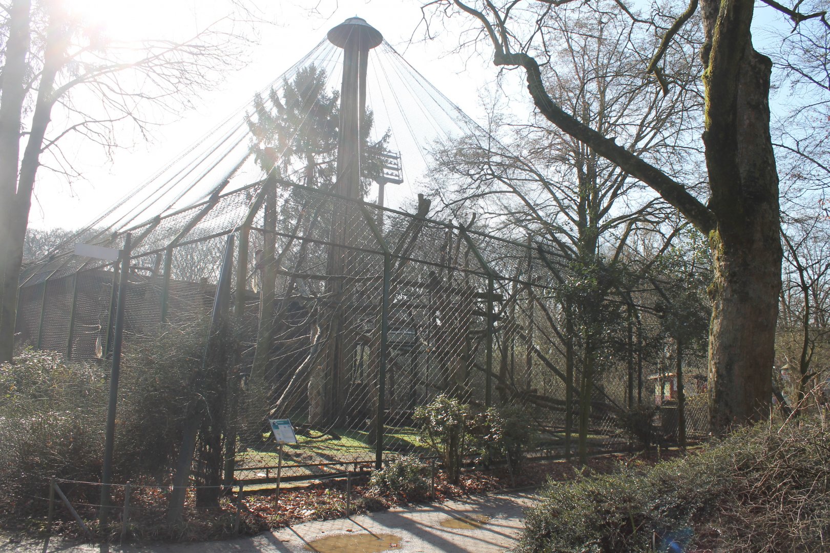 Guereza outdoor-enclosure