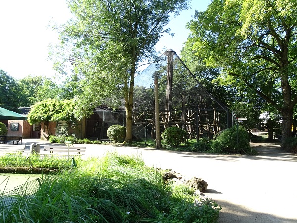 Guerza enclosure (07/22)